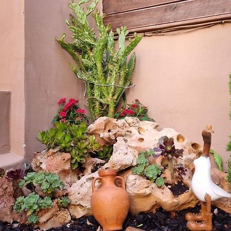 GaziCypress Garden Houseアパートメント エクステリア 写真